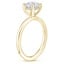 18K Yellow Gold Sydney Perfect Fit Hidden Halo Diamond Ring, smallside view