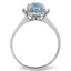 The Rose Ring, smallside view