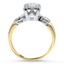 The Debbie Ring, smallside view