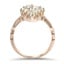 The Tuscon Ring, smallside view