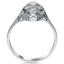 The Niabi Ring, smallside view