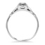 The Lucilia Ring, smallside view