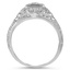 The Albertson Ring, smallside view