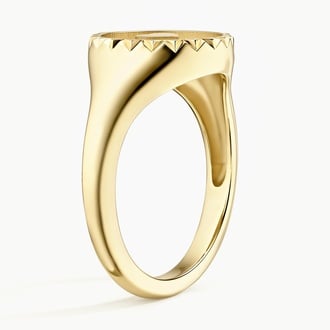 Story Signet Ring