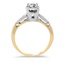 The Felipa Ring, smallside view