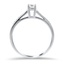 The Leslee Ring, smallside view