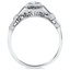 The India Ring, smallside view