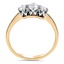 The Tylie Ring, smallside view