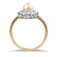 The Carylon Ring, smallside view