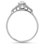 The Rossana Ring, smallside view