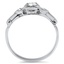 The Madison Ring, smallside view