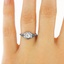 The Quinn Ring, smalltop view on a hand