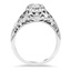 The Vanessa Ring, smallside view