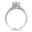 The Zizi Ring, smallside view