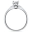 The Toni Ring, smallside view