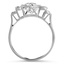 The Talbot Ring, smallside view