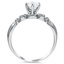 The Georgina Ring, smallside view