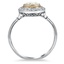 The Elisabet Ring, smallside view
