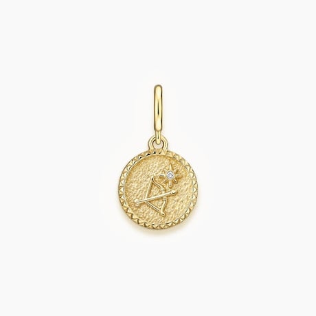 Zodiac Sagittarius Charm