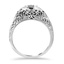 The Latrina Ring, smallside view