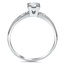 The Mickey Ring, smallside view