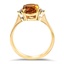 The Argentina Ring, smallside view