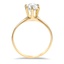 The Mio Ring, smallside view