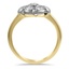 The Barco Ring, smallside view