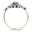 The Troxler Ring, smallside view