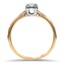 The Shanell Ring, smallside view