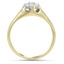 The Langton Ring, smallside view