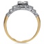 The Ondelette Ring, smallside view