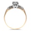 The Bienna Ring, smallside view
