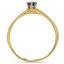 The Devondra Ring, smallside view
