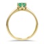The Rhio  Ring, smallside view