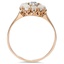 The Lurene Ring, smallside view