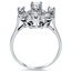 The Quatrefoil Ring, smallside view