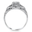 The Zivanka Ring, smallside view