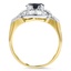 The Salamanca Ring, smallside view