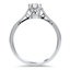 The Tierney Ring, smallside view