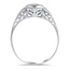 The Jackson Ring, smallside view