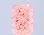 3.07 Ct. Fancy Pink Radiant Lab Grown Diamond
