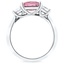 The Brighton Ring, smallside view