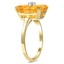 The Maible Ring, smalltop view on a hand