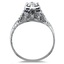 The Delicata Ring, smallside view