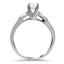 The Ransini Ring, smallside view