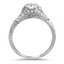 The Kildare Ring, smallside view