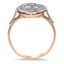 The Hanalei Ring, smallside view