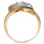The Ridley Ring, smallside view