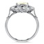 The Bessi Ring, smallside view
